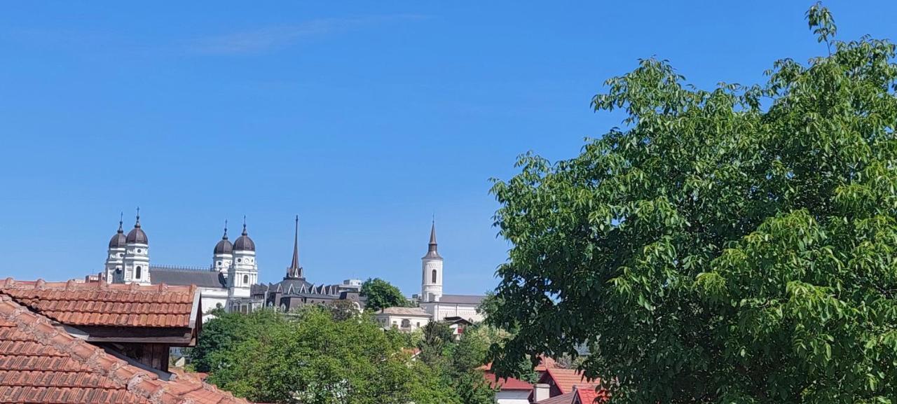 Central Palace Iasi Apart 2 Zewnętrze zdjęcie